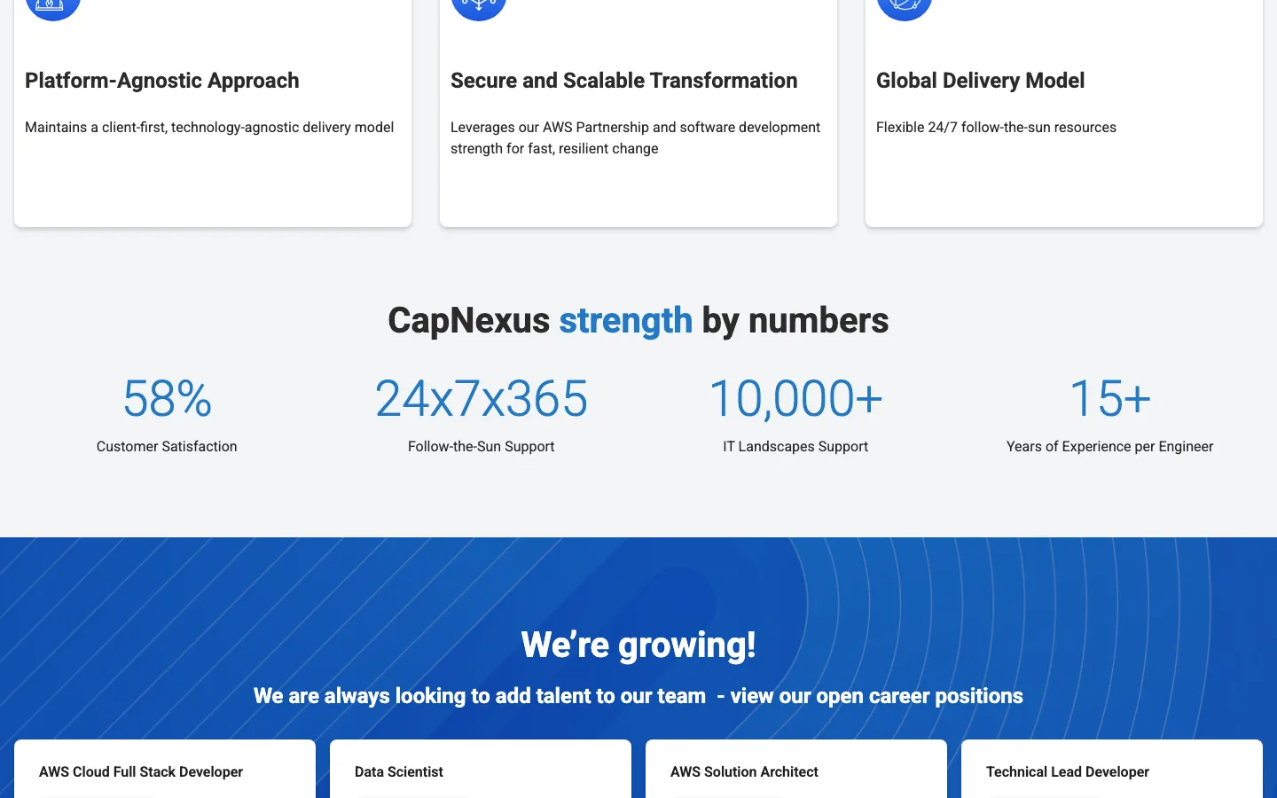 CapNexus homepage